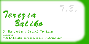 terezia baliko business card